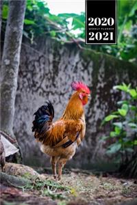 Chicken Hen Chick Farming Farmer Week Planner Weekly Organizer Calendar 2020 / 2021 - On Patrol