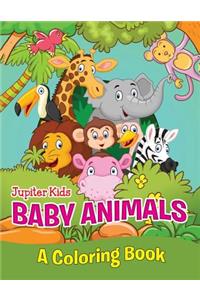 Baby Animals (A Coloring Book)