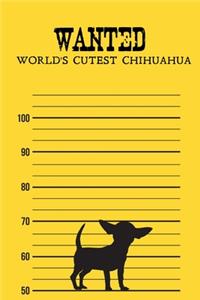 Wanted World's Cutest Chihuahua