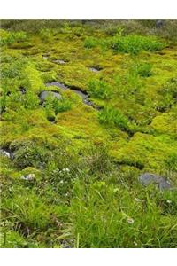 Meadow Fields Farming Agriculture Environment Environmental Meadows Grass