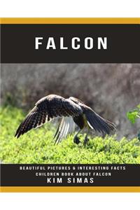 Falcon