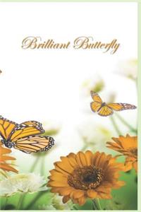 Brilliant Butterfly