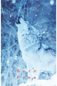 Born Free