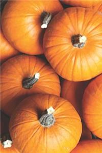 Pumpkin Patch Chemistry Notebook