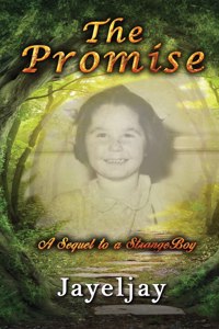 Promise: A Sequel to a Strange Boy