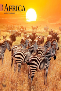 Africa 2024 Square
