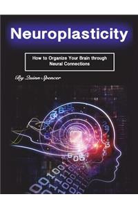 Neuroplasticity