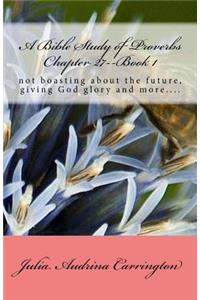 A Bible Study of Proverbs Chapter 27--Book 1