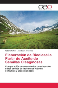 Elaboración de Biodiesel a Partir de Aceite de Semillas Oleaginosas