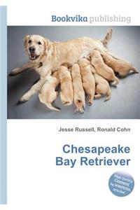 Chesapeake Bay Retriever