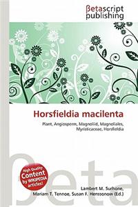 Horsfieldia Macilenta