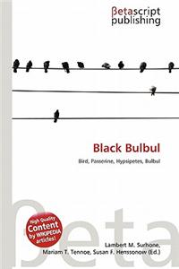 Black Bulbul