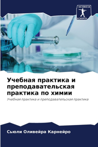 Учебная практика и преподавательская пра