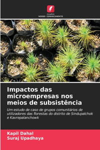 Impactos das microempresas nos meios de subsistência