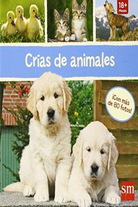 Crias de animales