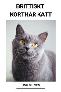 Brittiskt Korthår Katt