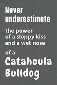 Never underestimate the power of a sloppy kiss and a wet nose of a Catahoula Bulldog