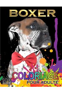 Boxer Coloriage Pour Adulte