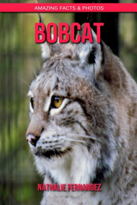 Bobcat