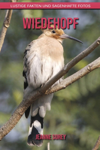 Wiedehopf
