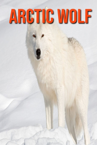 Arctic wolf