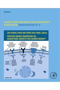 Protein Kinase Inhibitors as Sensitizing Agents for Chemotherapy