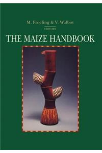 Maize Handbook