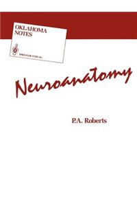 Neuroanatomy