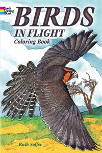 Birds in Flight Coloring Book