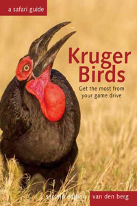 Kruger Birds