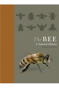 The Bee - A Natural History