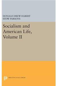 Socialism and American Life, Volume II