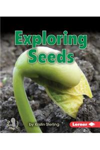 Exploring Seeds