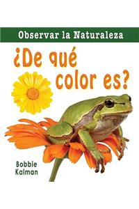 ¿De Qué Color Es? (What Color Is It?)