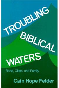Troubling Biblical Waters: Race, Class, and Family (Bishop Henry McNeal Turner Studies in North American Black Religion, 3)