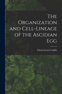 Organization and Cell-lineage of the Ascidian Egg