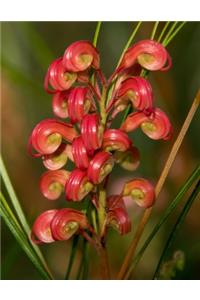 Grevillea Gardening Journal