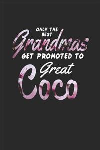 Only the Best Grandmas Get Promoted to Great Coco