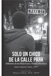 Solo un Chico de la Calle Park