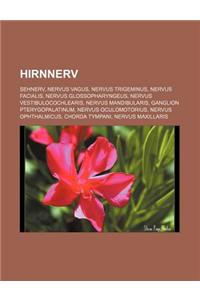 Hirnnerv: Sehnerv, Nervus Vagus, Nervus Trigeminus, Nervus Facialis, Nervus Glossopharyngeus, Nervus Vestibulocochlearis, Nervus
