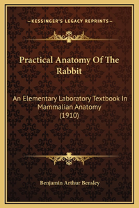 Practical Anatomy Of The Rabbit