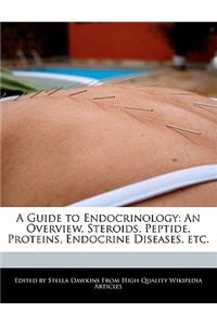 A Guide to Endocrinology