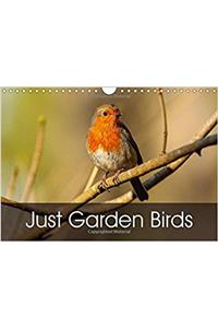 Just Garden Birds 2018