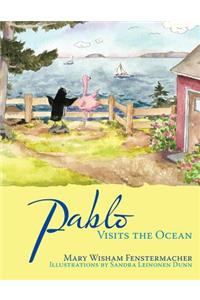 Pablo Visits the Ocean