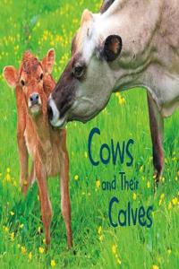 Cows and Their Calves