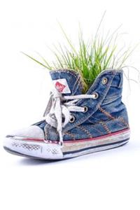 Mind Blowing Grass In Old Shoe Journal