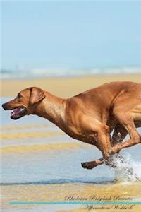 Rhodesian Ridgeback Affirmations Workbook Rhodesian Ridgeback Presents