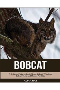 Bobcat