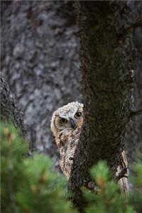 Great Horned Owl Peeking Around a Tree Trunk Journal