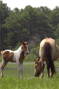 Grazing Mare and her Foal
